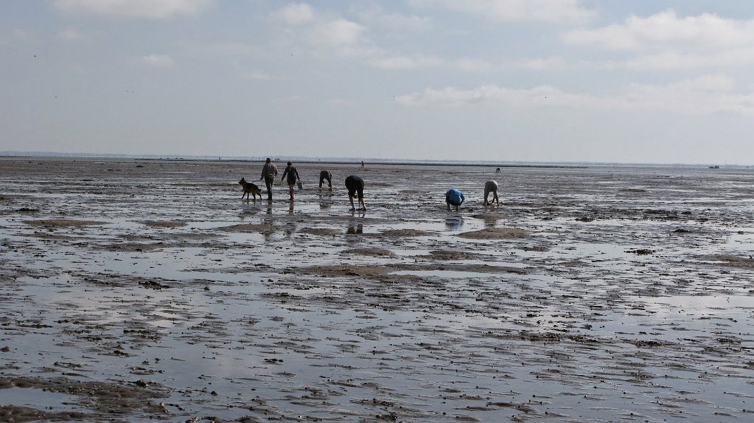 2014 Ile de Noirmoutiers (164)